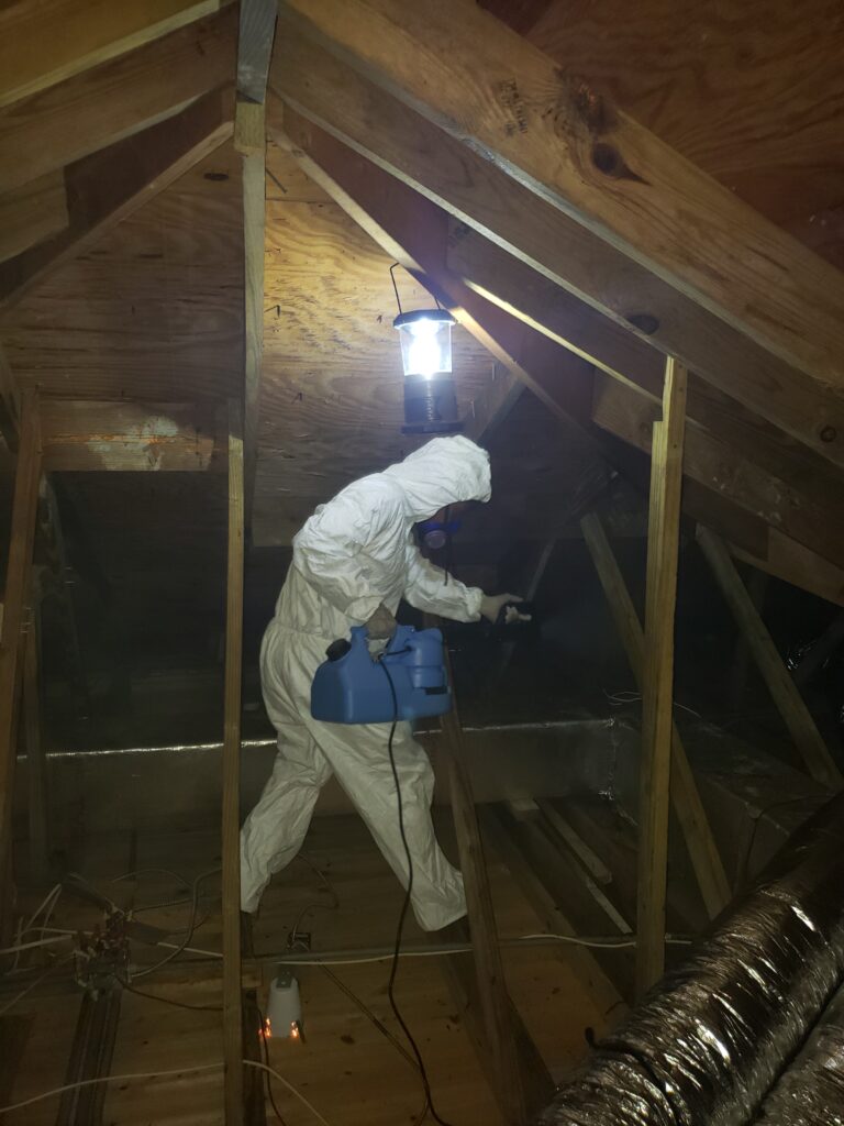 Mold Remediation